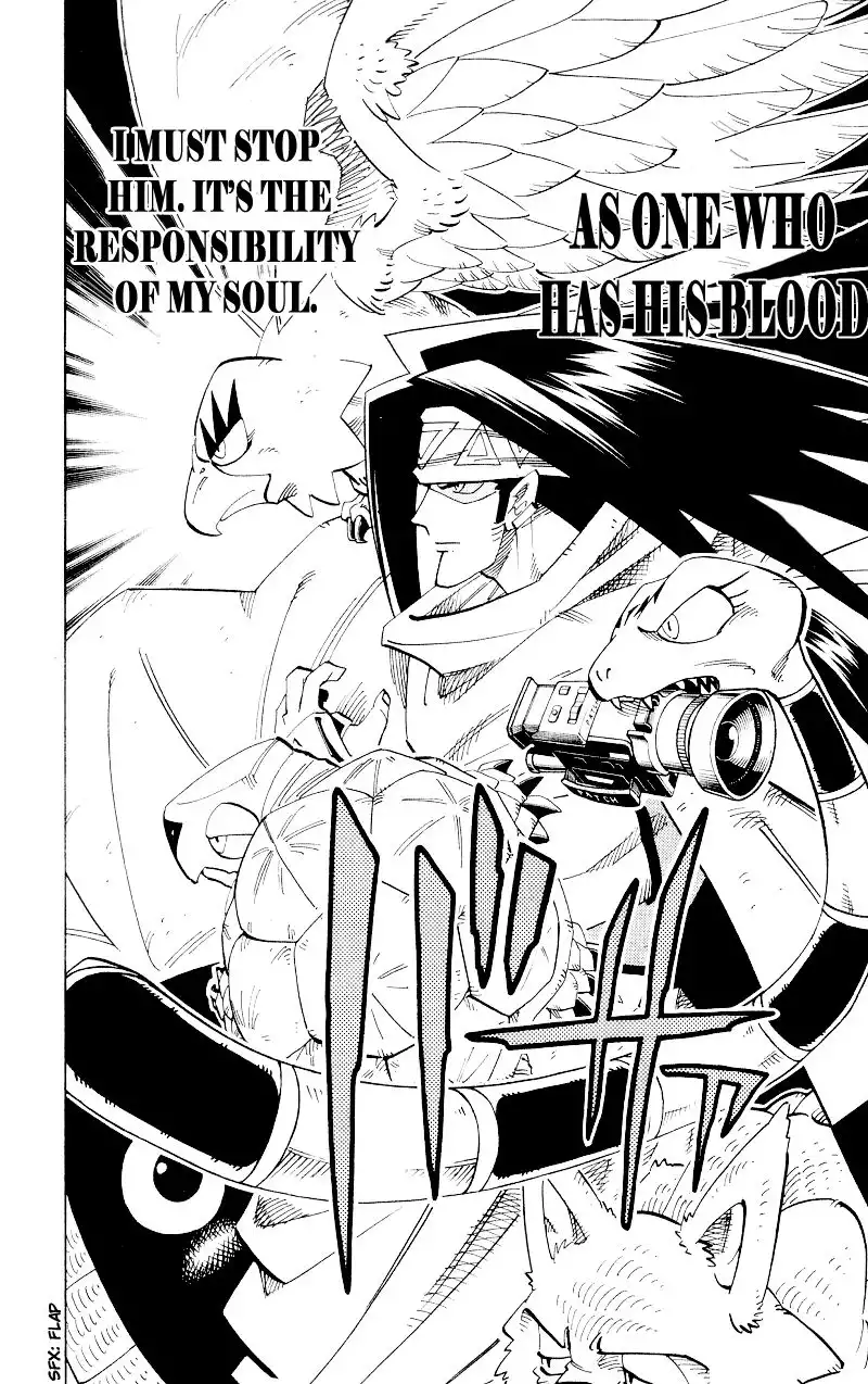 Shaman King Chapter 141 13